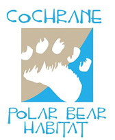 polarbear